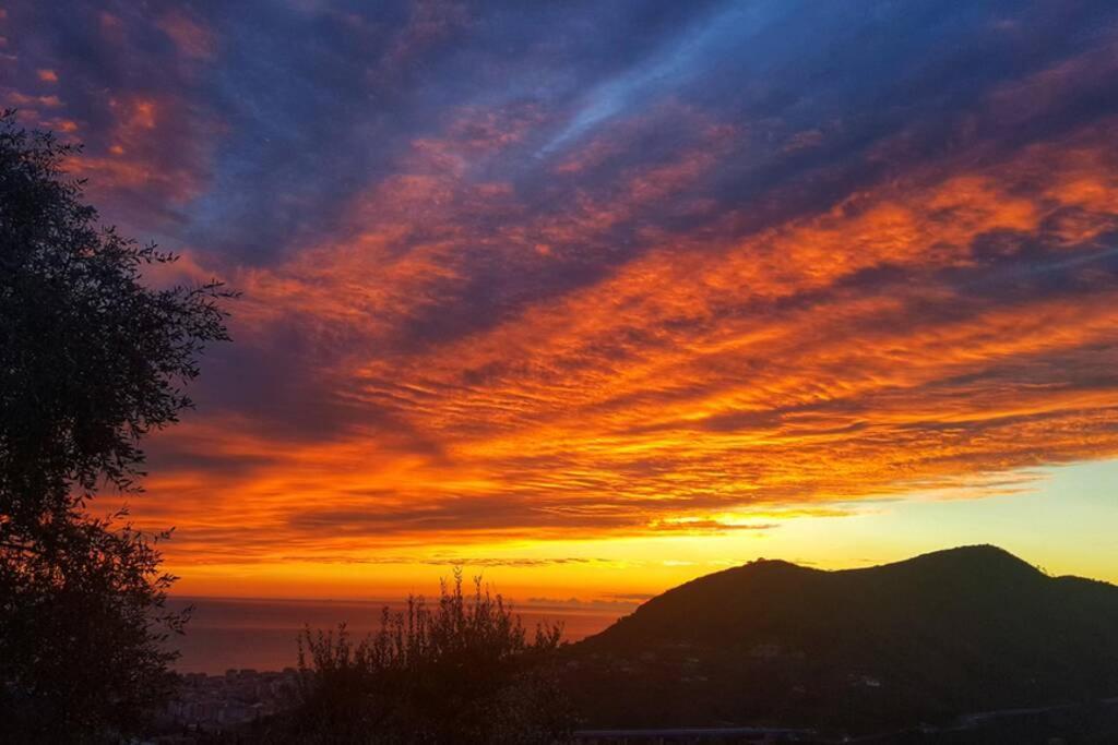 Leivi La Vivagna - Casa Vista Mare Tra Gli Uliviヴィラ エクステリア 写真